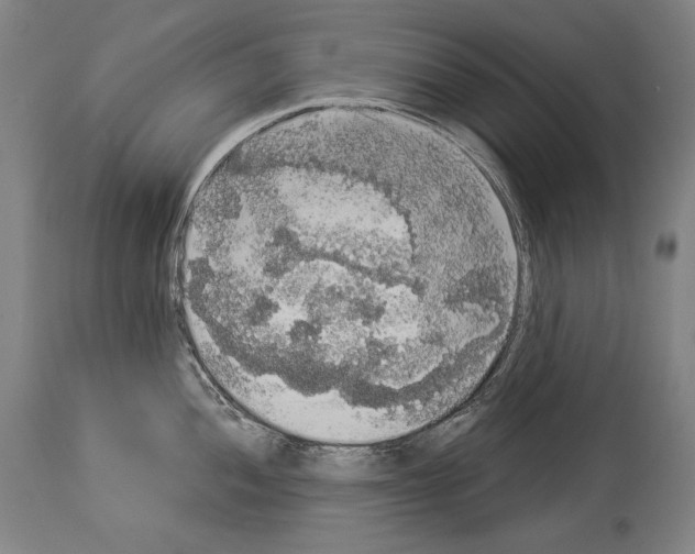 X0000113981052200911131051