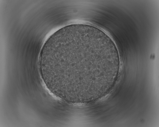 X0000113981053200911131051