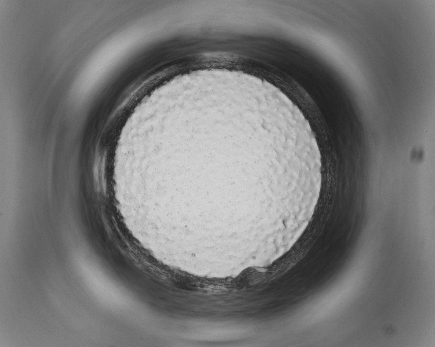 X0000113981054200911131051