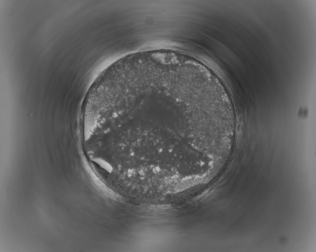 X0000113981055200911131051