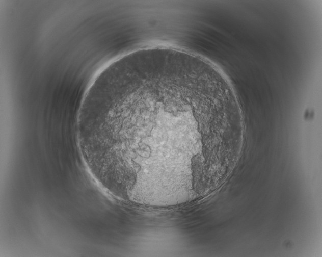 X0000113981056200911131051