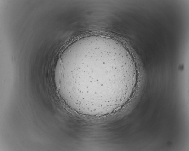 X0000113981057200911131050