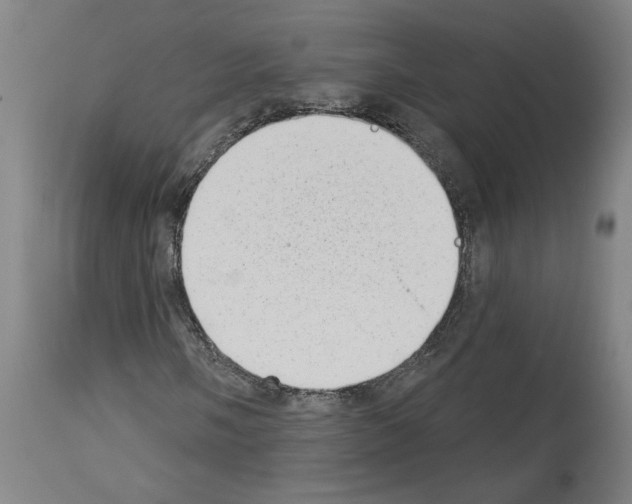 X0000113981058200911131050