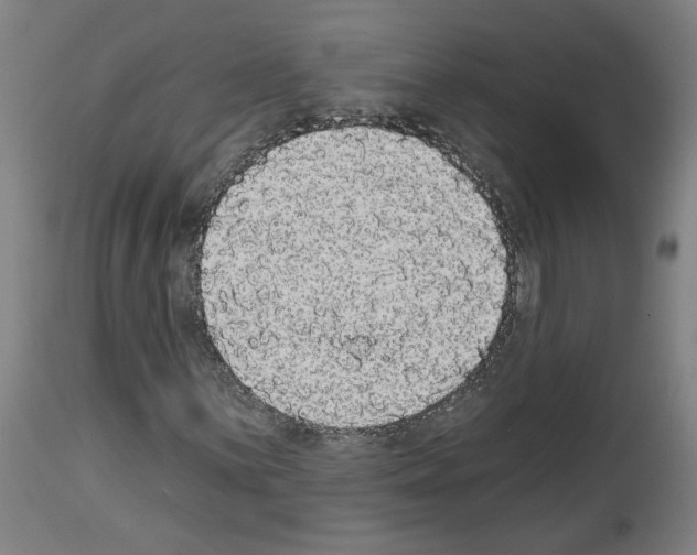 X0000113981059200911131050