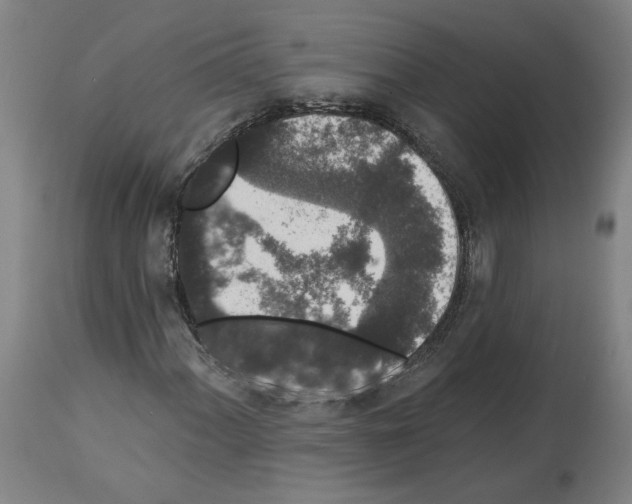 X0000113981060200911131050