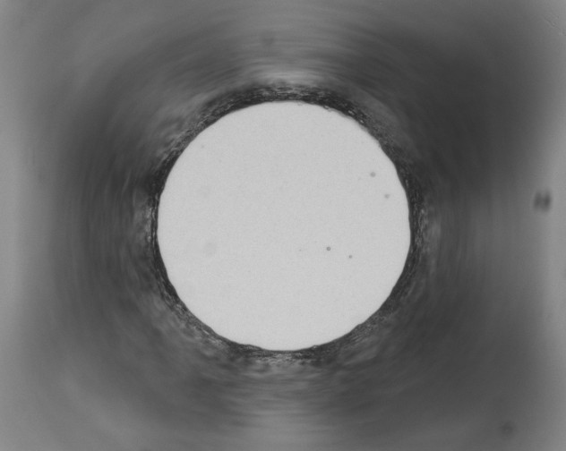 X0000113981061200911131050