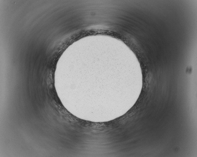 X0000113981062200911131050
