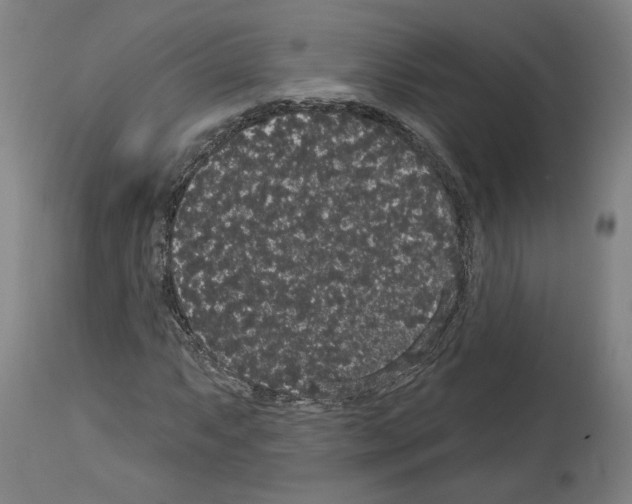 X0000113981063200911131050