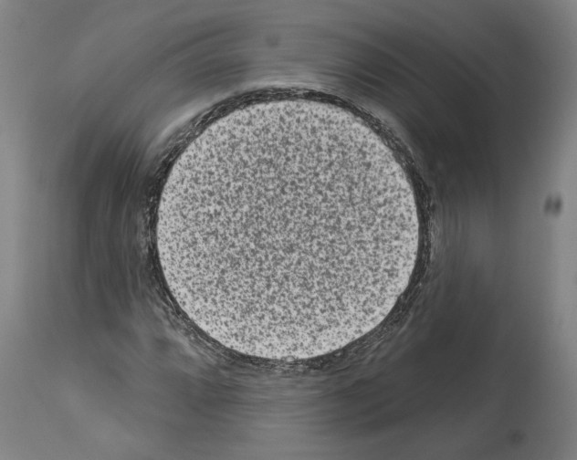 X0000113981064200911131050