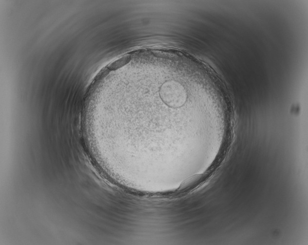 X0000113981065200911131050