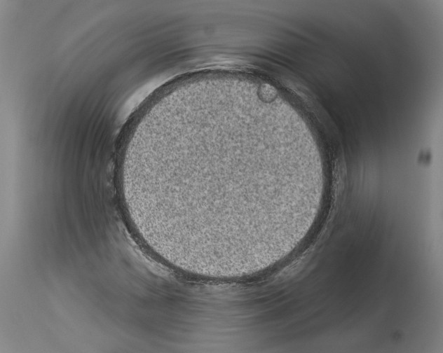 X0000113981066200911131050