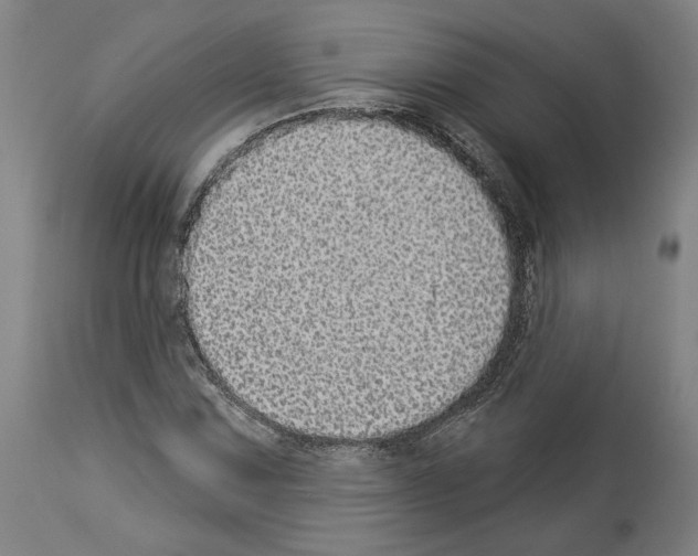 X0000113981067200911131050