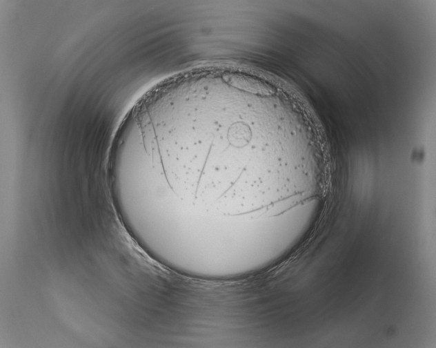 X0000113981068200911131050