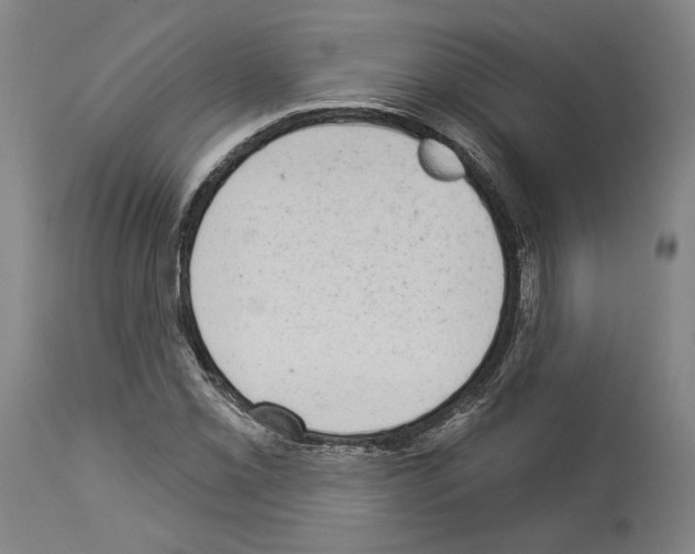 X0000113981069200911131050