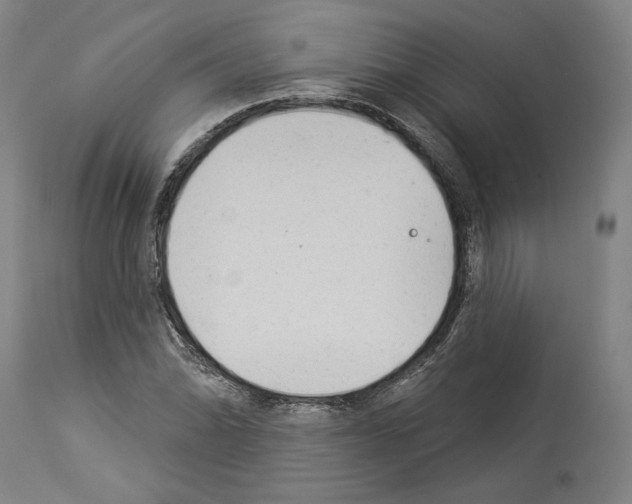 X0000113981070200911131050