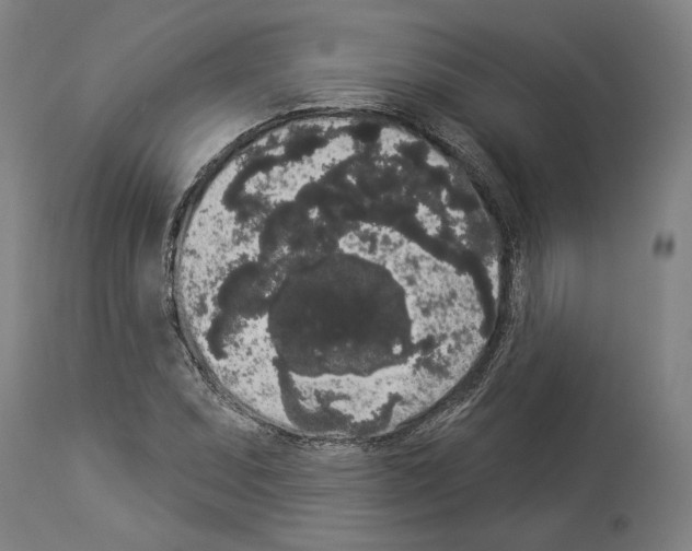 X0000113981071200911131050