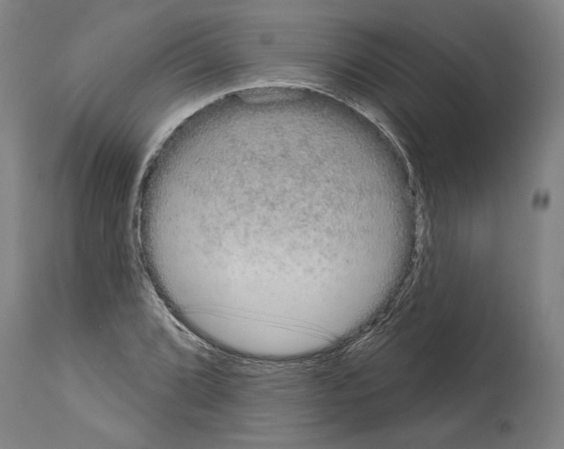 X0000113981072200911131050