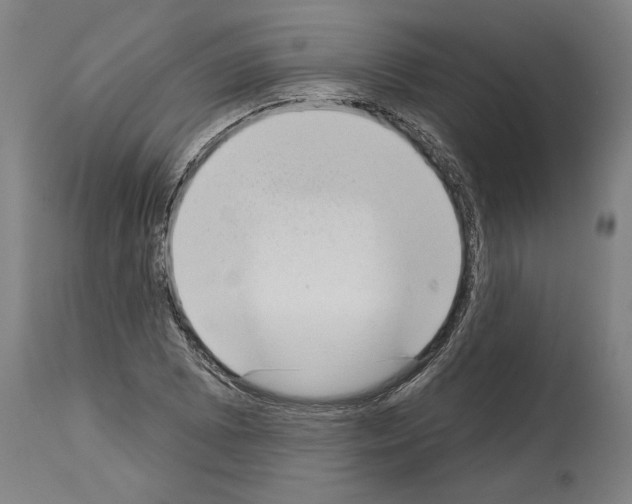 X0000113981073200911131050