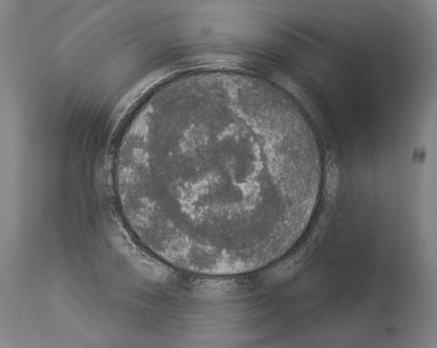 X0000113981074200911131050