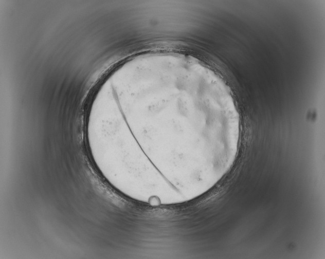 X0000113981075200911131050