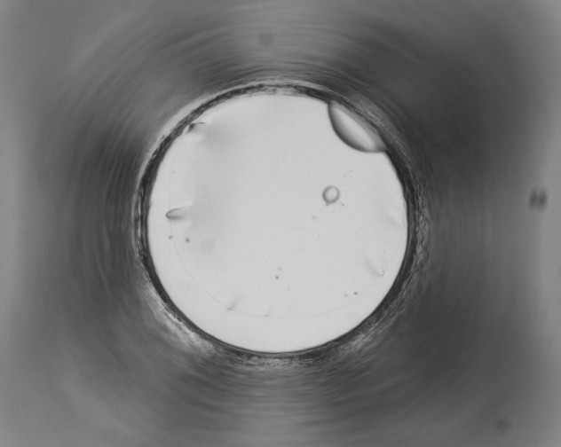 X0000113981076200911131050