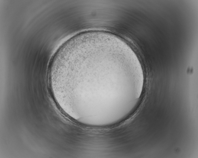 X0000113981077200911131050