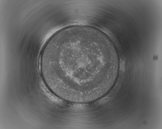 X0000113981078200911131050