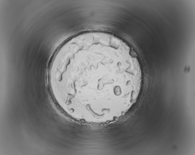 X0000113981079200911131050