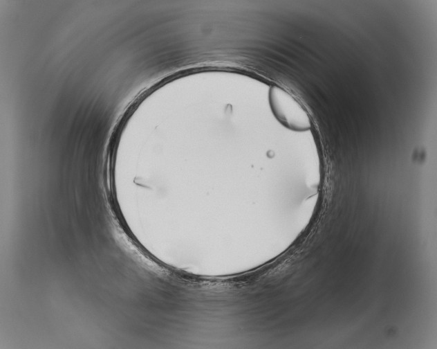 X0000113981080200911131050
