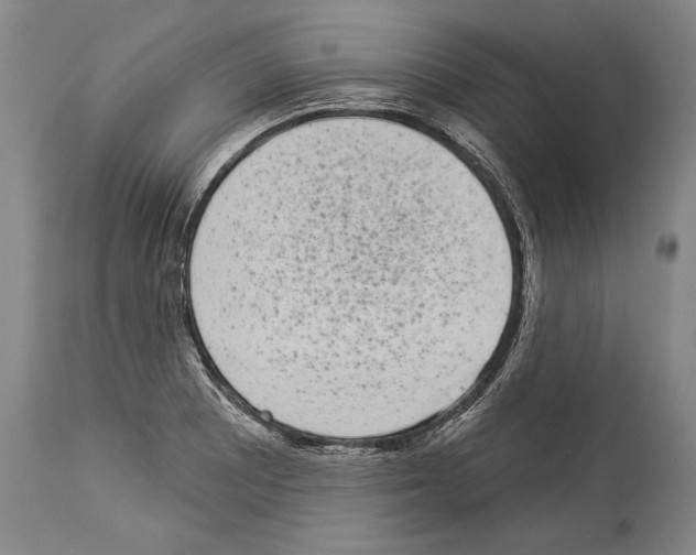 X0000113981081200911131049
