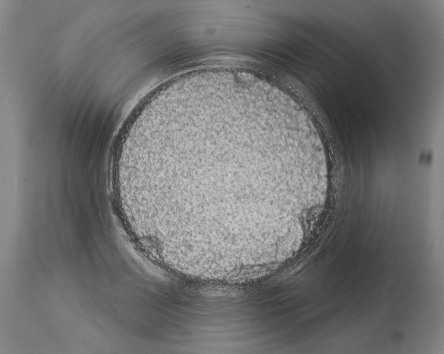 X0000113981083200911131049