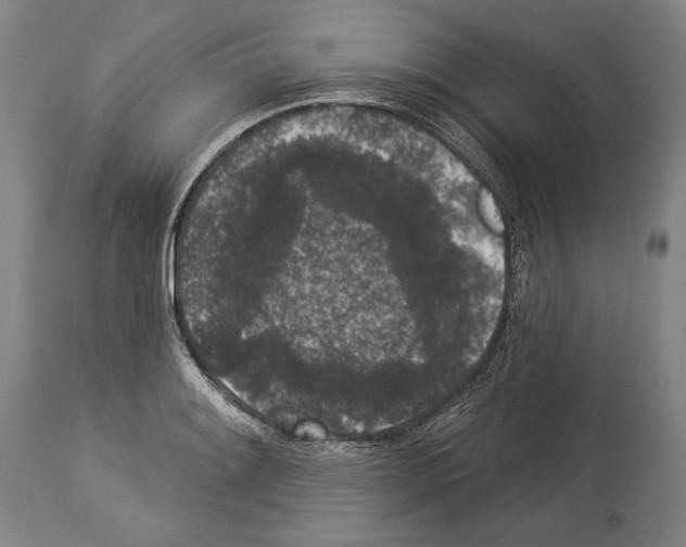 X0000113981084200911131049