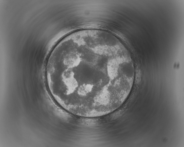 X0000113981086200911131049