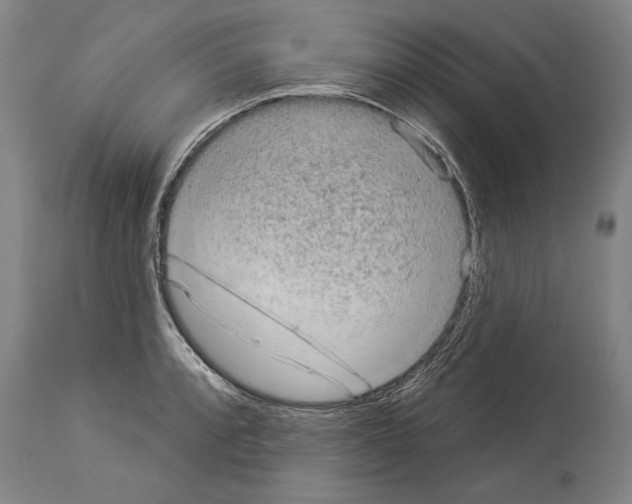 X0000113981088200911131049