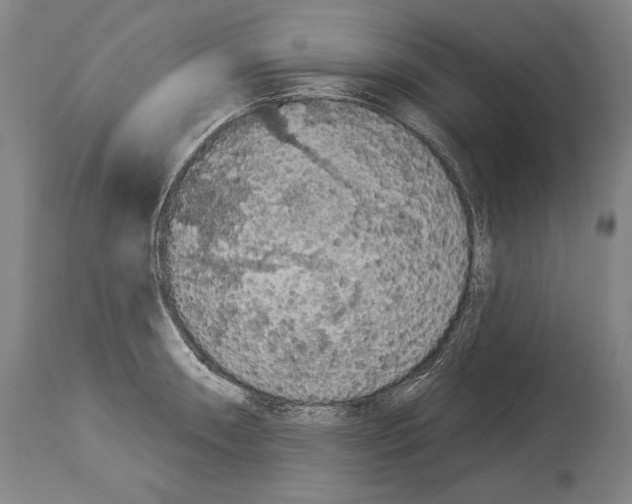 X0000113981090200911131049