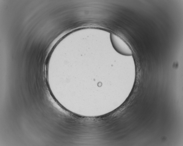 X0000113981092200911131049