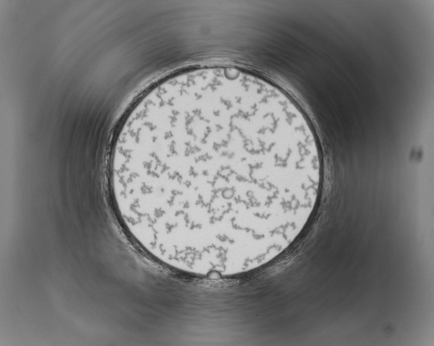 X0000113981093200911131049
