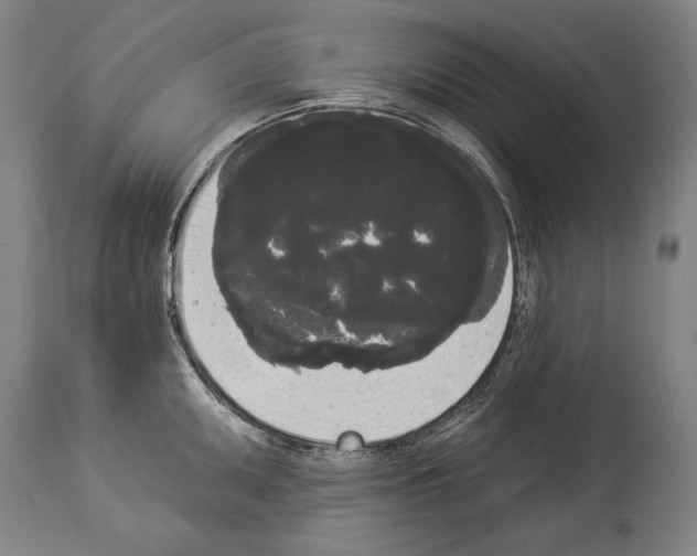 X0000113981095200911131049