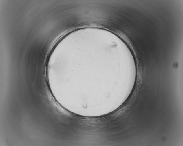 X0000113981096200911131049