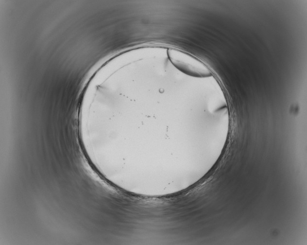 X0000113981100200911131049