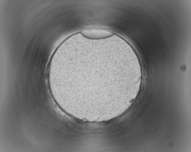 X0000113981102200911131049