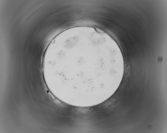 X0000113981103200911131049