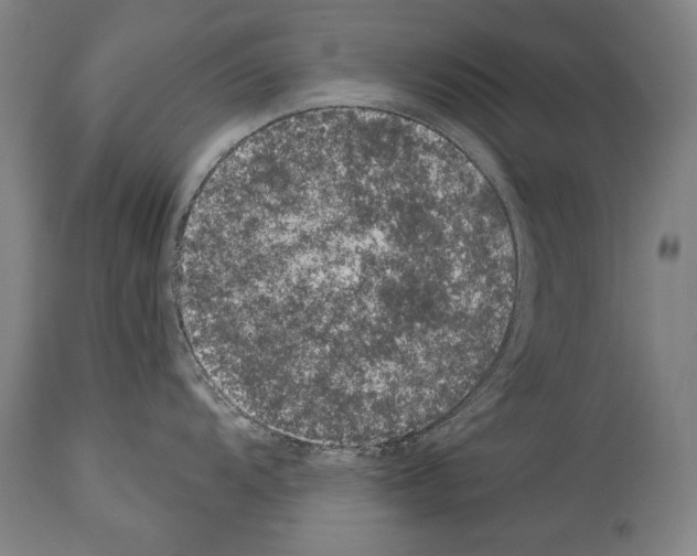 X0000113981104200911131049