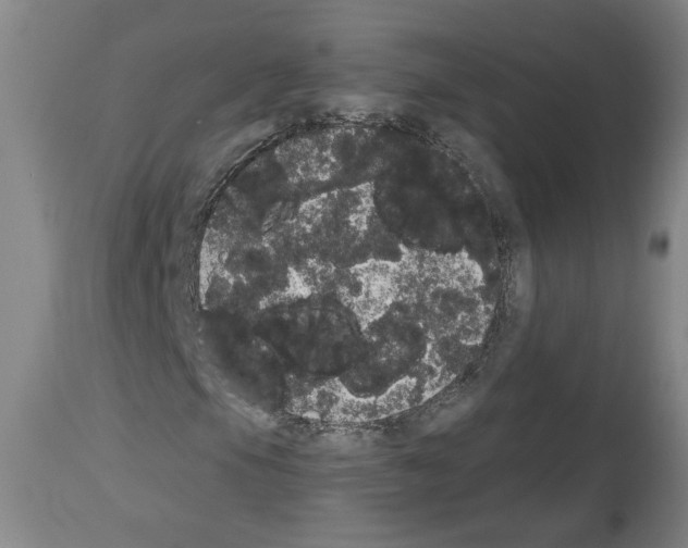 X0000113981105200911131048
