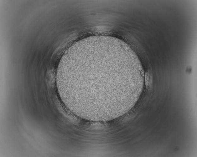 X0000113981107200911131049