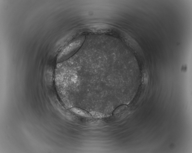 X0000113981108200911131049
