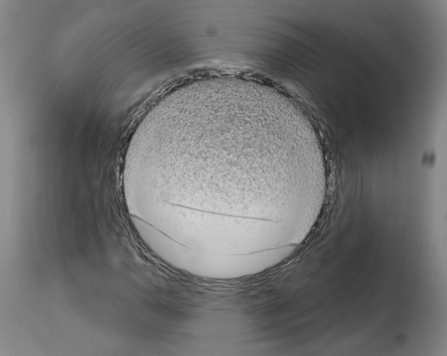 X0000113981110200911131049