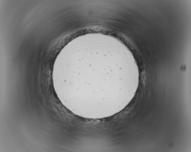 X0000113981111200911131049