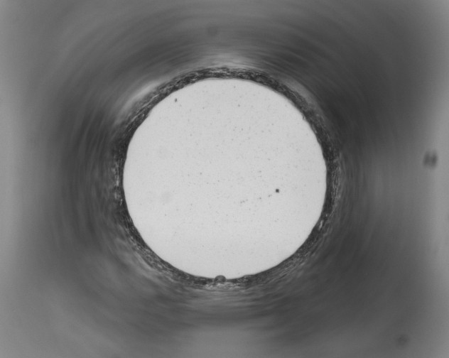 X0000113981112200911131049