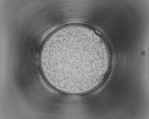 X0000113981113200911131049